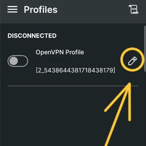 OpenVPN profili üýtgetmek