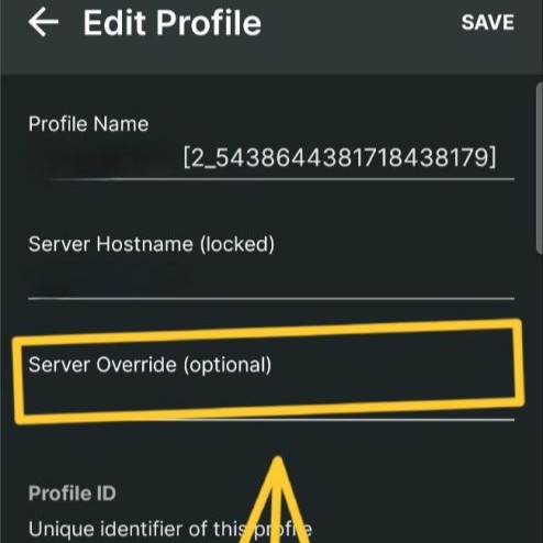 Server Override meýdany